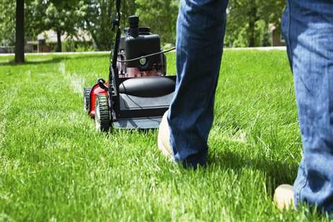 Proper lawn care schedule?