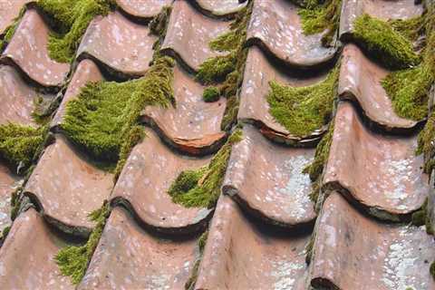 Which roofing lasts the longest?