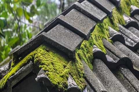 Does cleaning your roof damage it?