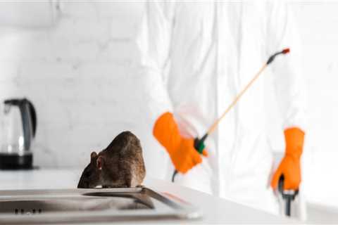 The Best Way To Get Rid Of Rodents Without Using Organic Pest Control In Montgomery