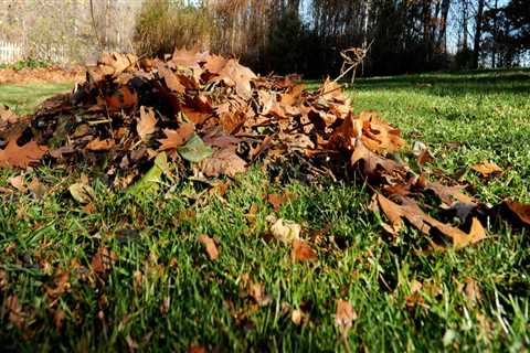 Why is fall cleanup important?