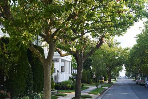 What are the benefits of street trees?