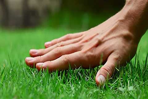 What is the difference between landscaping and lawn care?