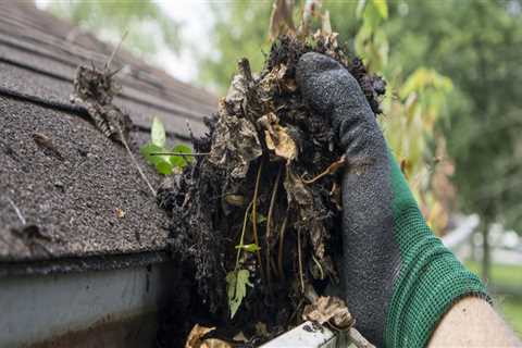 When should gutters be cleaned in texas?