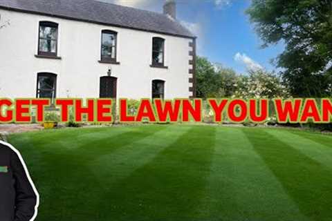 End of SUMMER lawncare | Beginner lawn care tips