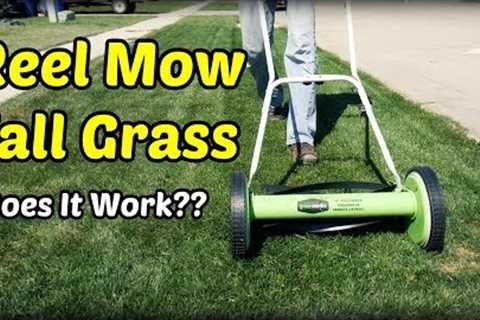 Reel Mowing Tall Grass?