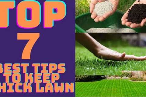 Top 7 Best Tips To Get Thicker Lawn And Keep It