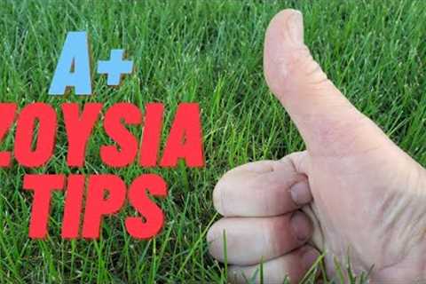 Lawn Care Tips and Weed Control for Zoysia Lawns in Summer