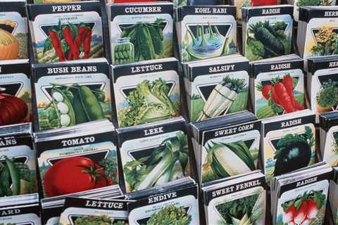 What To Know Before Buying Vegetable and Flower Seeds