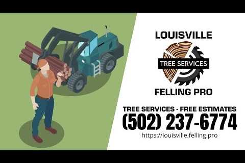 Tree Service Valley Station, KY