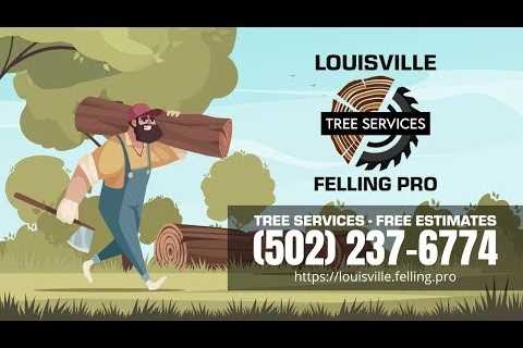 Tree Service Okolona, KY