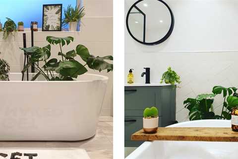 Add Color to Your Bathroom With Good Bathroom Plants