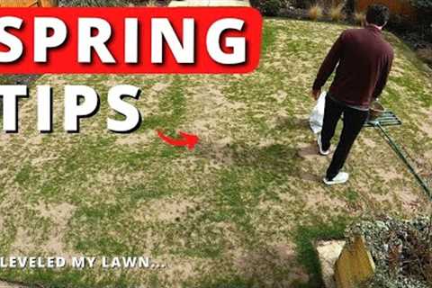 May Lawn Care Tips - Spring Grass Seeds Germinated?