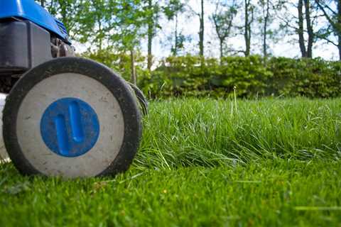 Lawn Mowing in Sheldon,QLD 4157