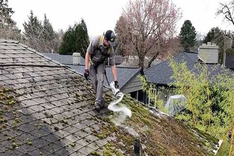 Should you remove moss from roof?