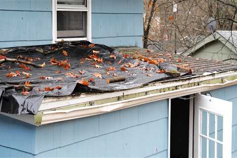 Common Roof Problems