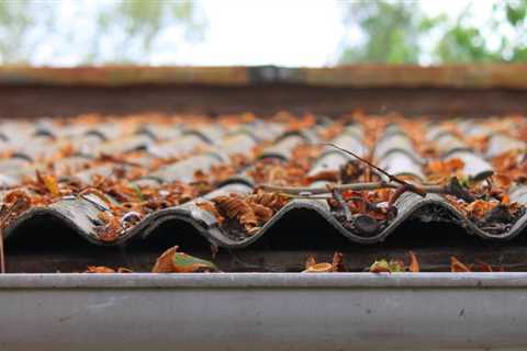 Why Gutter Cleaning Is Important?