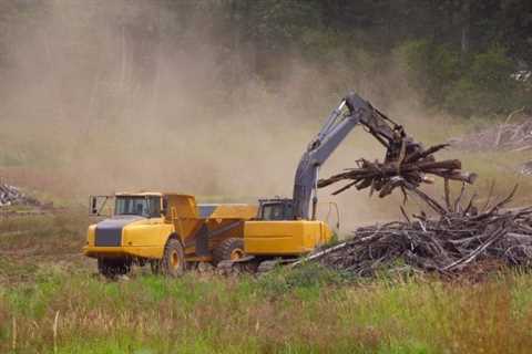 5 Money-Saving Tips for Land Clearing Projects