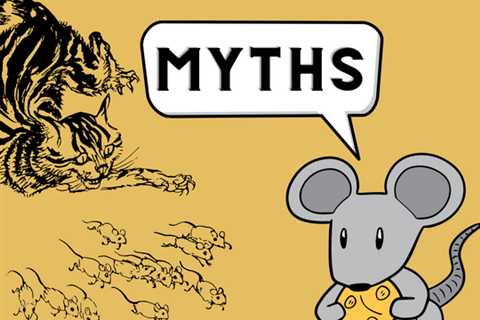 Toronto Pest Control: Debunking 4 Myths About Mice