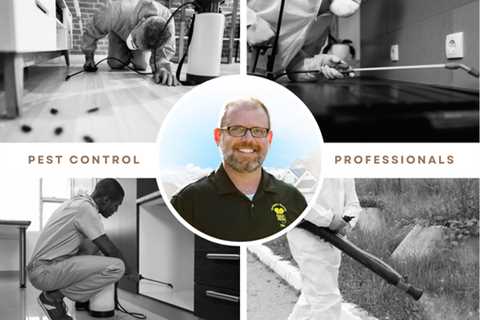 4 Things Pest Control Professionals in Oakville Wish You Knew About Pests