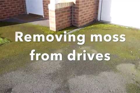 How to Get Rid of Moss on Your Patio