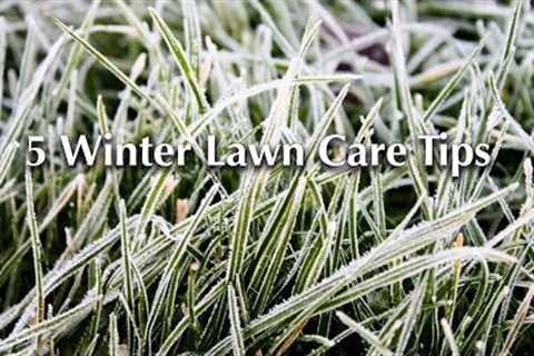 5 Winter Lawn Care Tips