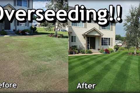 How To OVERSEED Your Lawn in SPRING // Complete Step by Step Guide