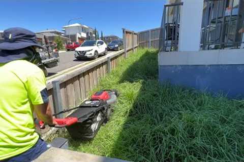 OMG He''s using a Battery Push Mower on this OVERGROWN Clean Up!