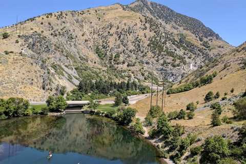 Tree Removal Hyde Park Utah