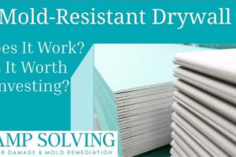 Is Mold Resistant Drywall Worth The Investment? Damp Solving Water & Mold