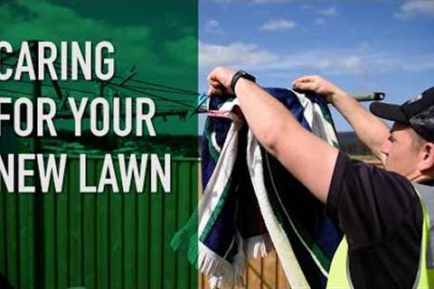 How to care for a new lawn | Watering, Mowing & Fertilising