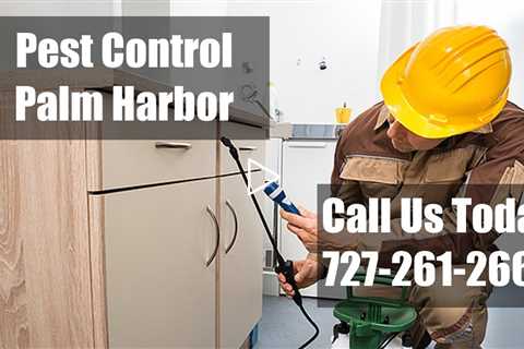 Palm Harbor FL Pest Control - Residential Termite Control & Bed Bug Treatment 24 Hr Exterminator