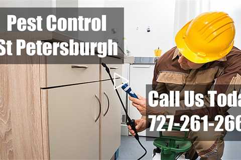 Pest Control St Petersburg FL - Domestic Exterminator Emergency Termite Control & Bed Bug Treatment