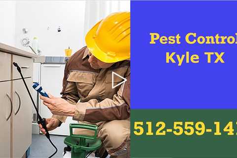 Pest Control In Kyle Texas - Residential 24 Hr Exterminator Termite Treatment & Bed Bug Treatment