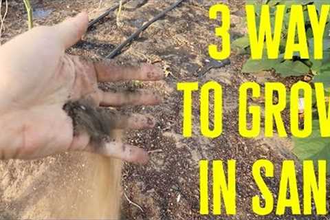 The Secret to Growing Abundant Veggies in Sandy Soil: Shocking Results Guaranteed!