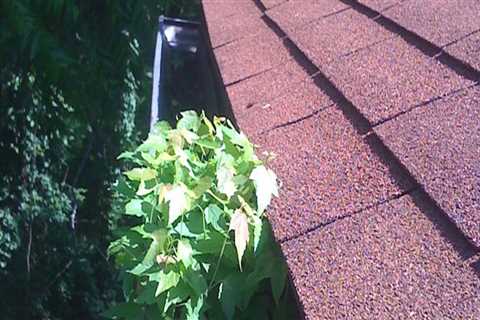 Reason Why Gutter Cleaning Routine is Need for your Home
