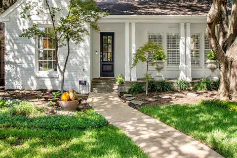 The Connection between Tree Treatment and Upkeeping Rain Gutter