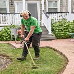 Lawn Care Equipment Rentals Homeowners Should Consider