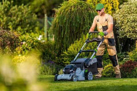 Buying vs. Renting Lawn Equipment: What Should You Choose?