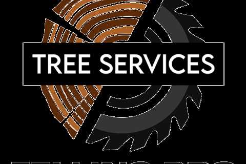 Phoenixville Tree Service