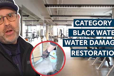 BLACK WATER - Water Damage Restoration Process (Full Gym Affected!!) | Incredible Restorations