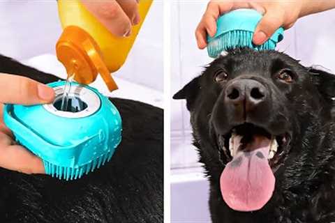 Cute And Smart Pet Gadgets, Hacks And DIY Crafts That Might Be Useful