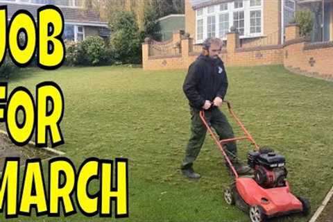 START the LAWN care NOW it''s MARCH