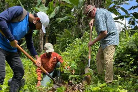 Getting to the Roots−in Puerto Rico!