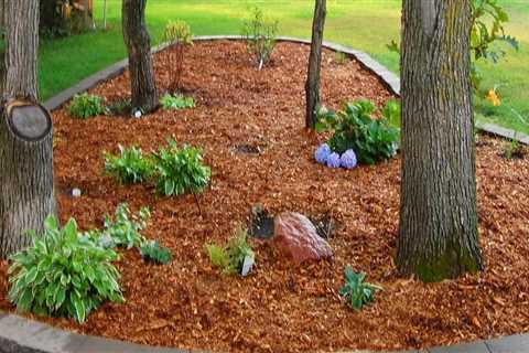 10 Expert Tips for Mulching Your Garden