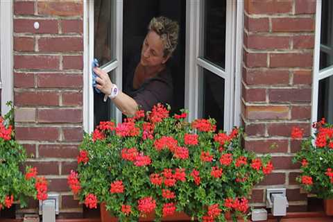 The Right time to clean your Windows and Gutters While preventing Water Damage