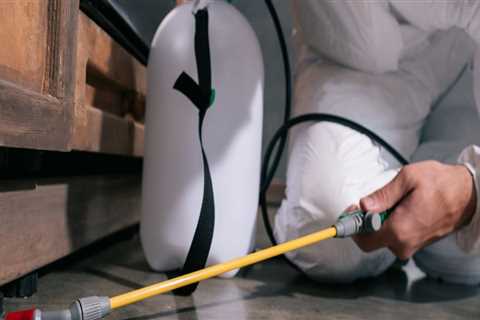 Advantages of Hiring Expert Pest Control Services for Your Home