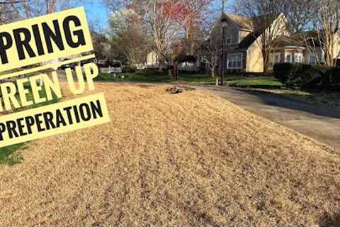 Spring Lawn Care: Prepping for the Greenup, Weed Control Plan, Winter Damage and More