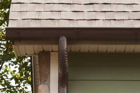 Common Kinds of Debris Found in Gutters and Proper Disposal Methods