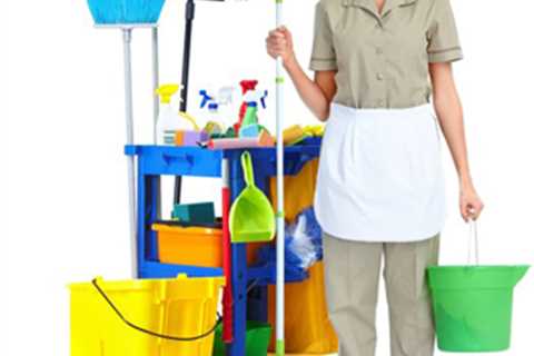 Professional Home Cleaning Services - Important Things That You Should Know